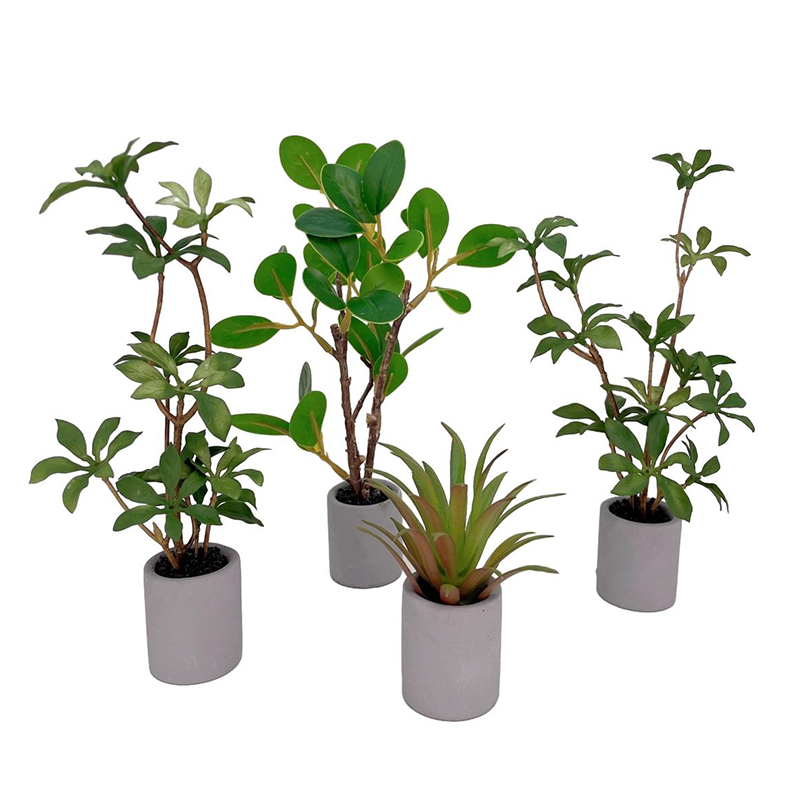 Bonsai Garden Ornaments - 1:6 Dollhouse Miniature Potted Plant Green