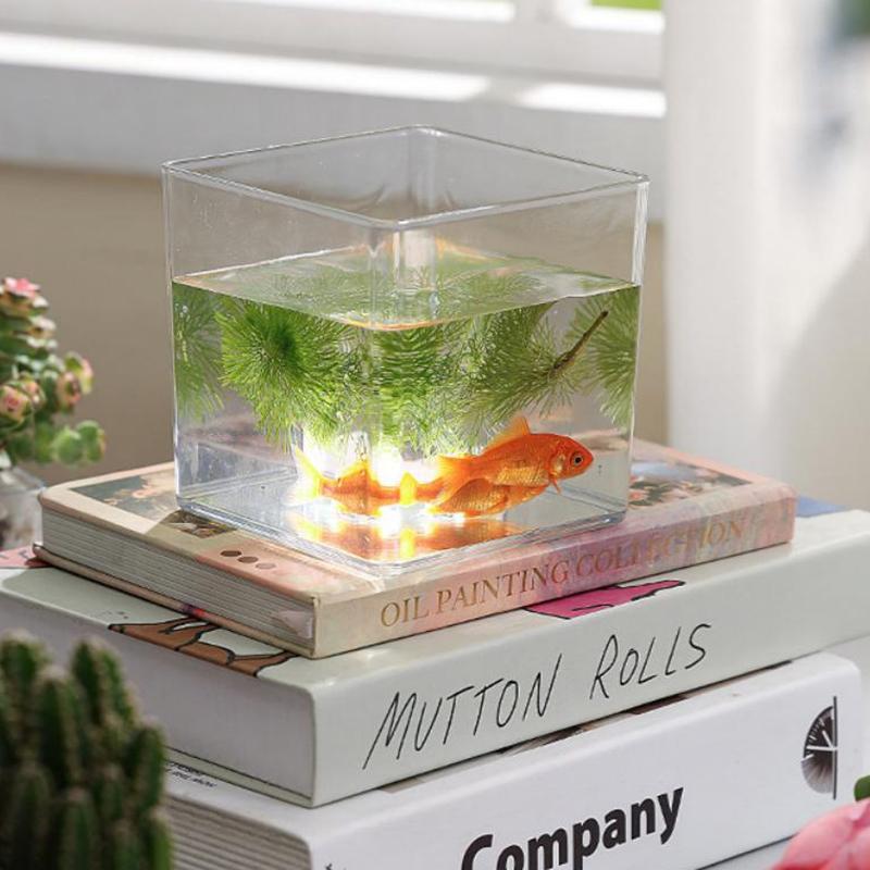 Bonsai Garden Nursery - Square/Round Transparent Acrylic Flower Nursery Pots