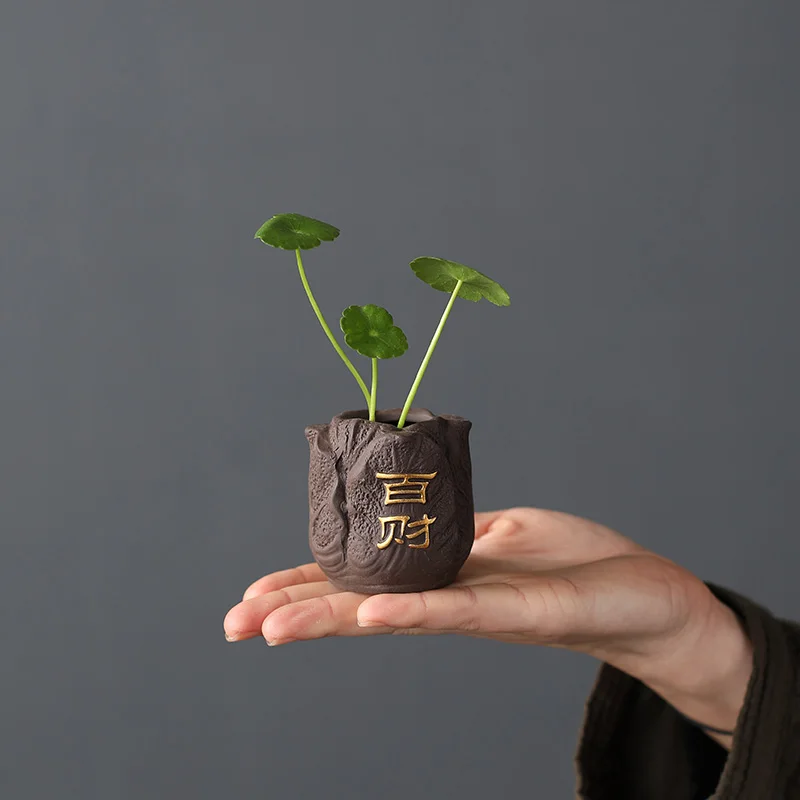Creative Purple Clay Tea Pet F - Bonsai Garden Ornaments recension och pris