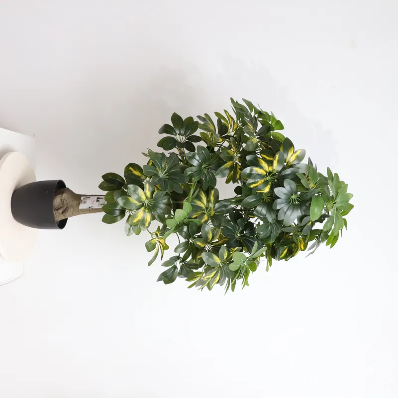Wholesale Factory Direct Price - Bonsai Garden Price recension och pris