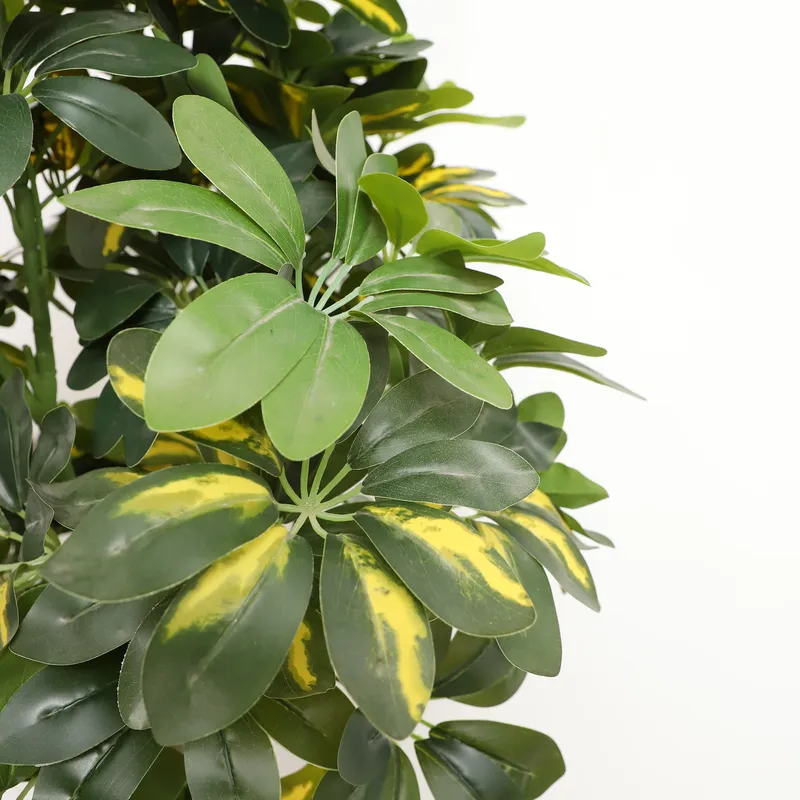 Wholesale Factory Direct Price - Bonsai Garden Price recension och pris