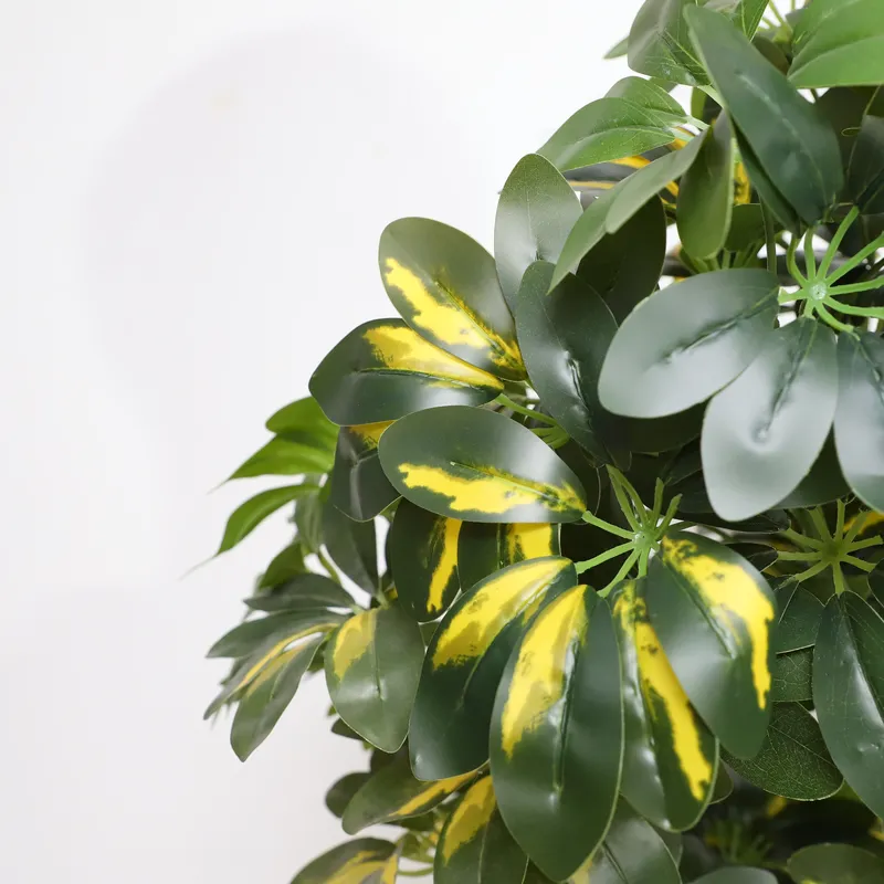 Wholesale Factory Direct Price - Bonsai Garden Price recension och pris