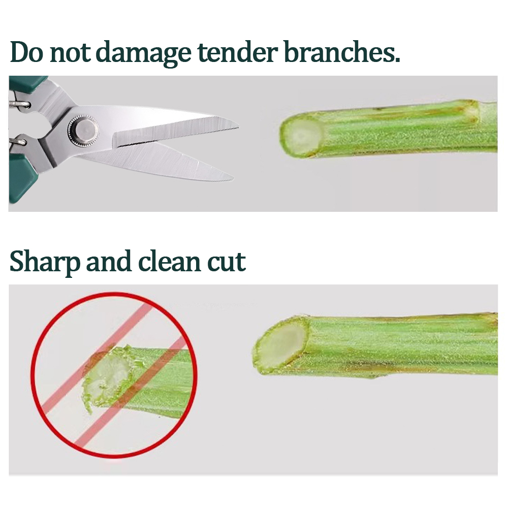 Home-use pruning tools for bon - Bonsai Garden Design recension och pris