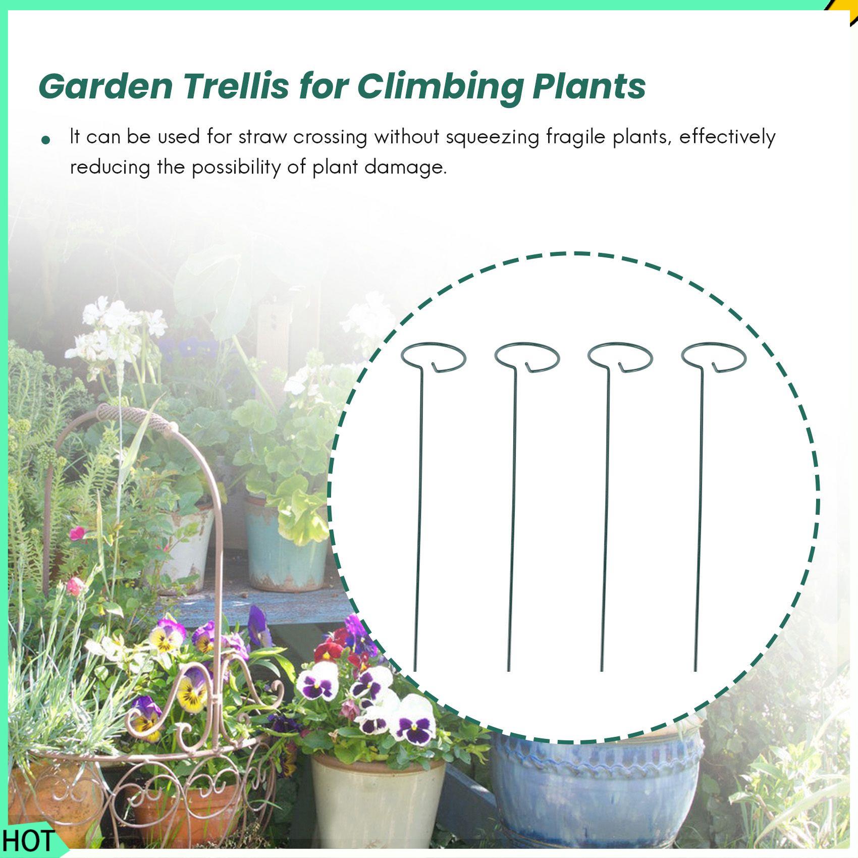 AWAH 8PCS Beautiful Plant Supp - Bonsai Garden Backyard recension och pris