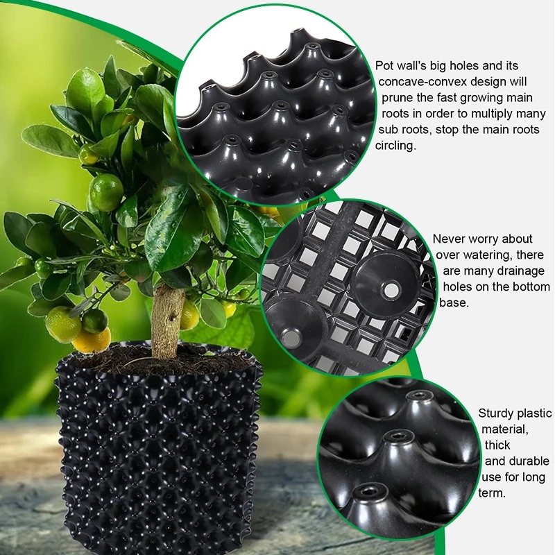 Air‑Pruning Root Control Nurse - Bonsai Garden Nursery recension och pris