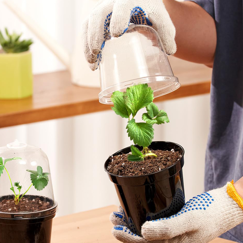 Nursery Pots Flowerpot Gardeni - Bonsai Garden Nursery recension och pris