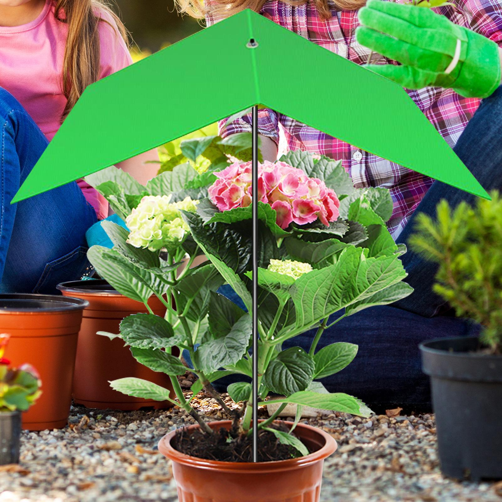 Plant Umbrella Anti-UV Heat Re - Bonsai Garden Backyard recension och pris
