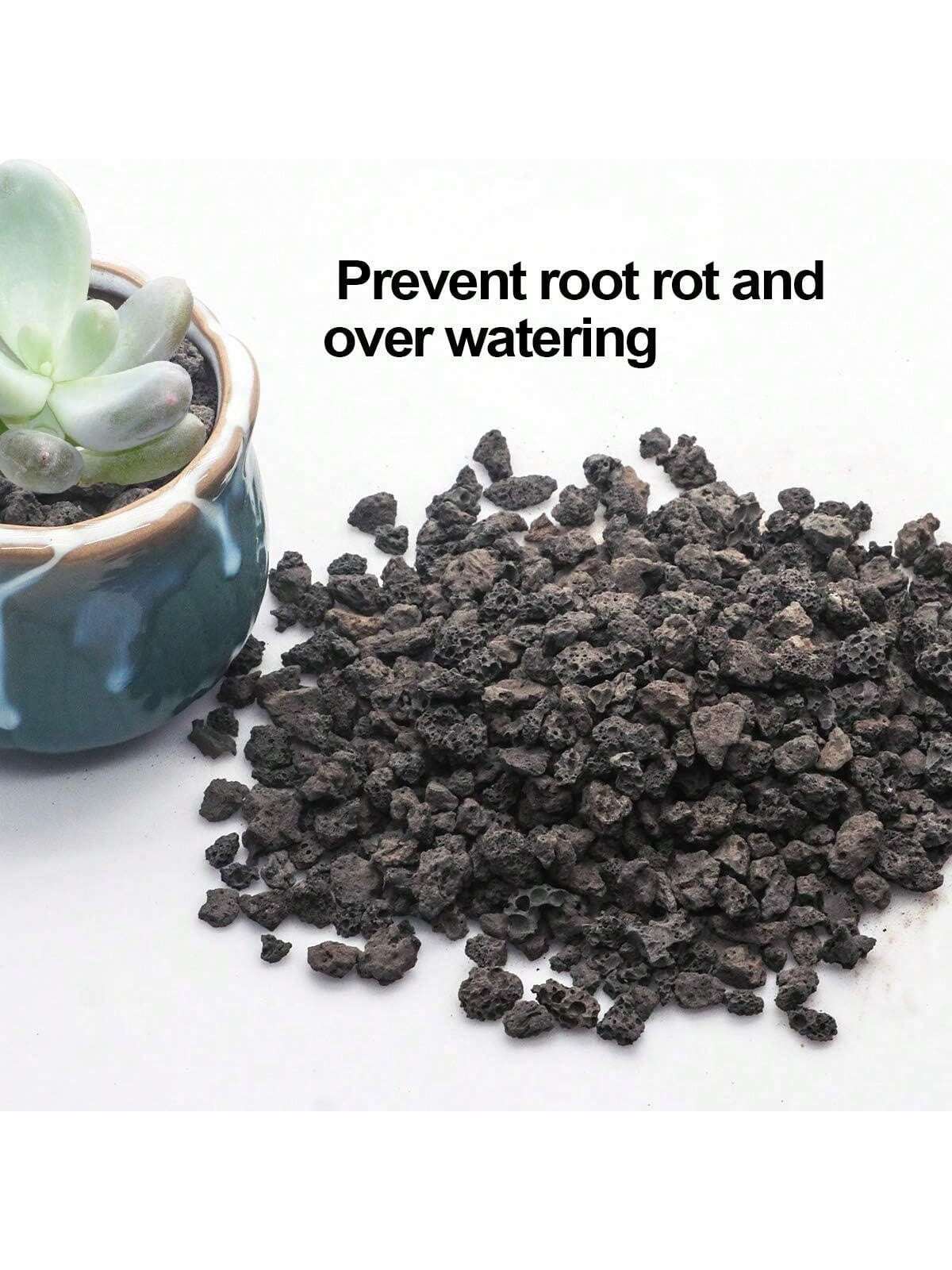 Black Horticultural Lava Rock  - Sphagnum Moss Bag recension och pris