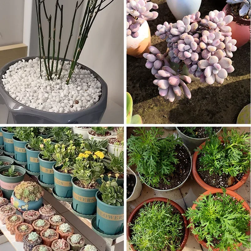 1L/2L Perlite Pellet Configure - Bonsai Garden Nursery recension och pris