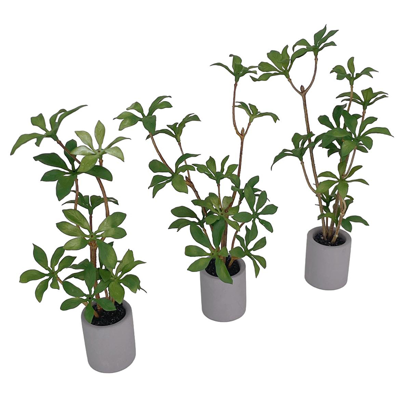 1:6 Dollhouse Miniature Potted - Bonsai Garden Ornaments recension och pris