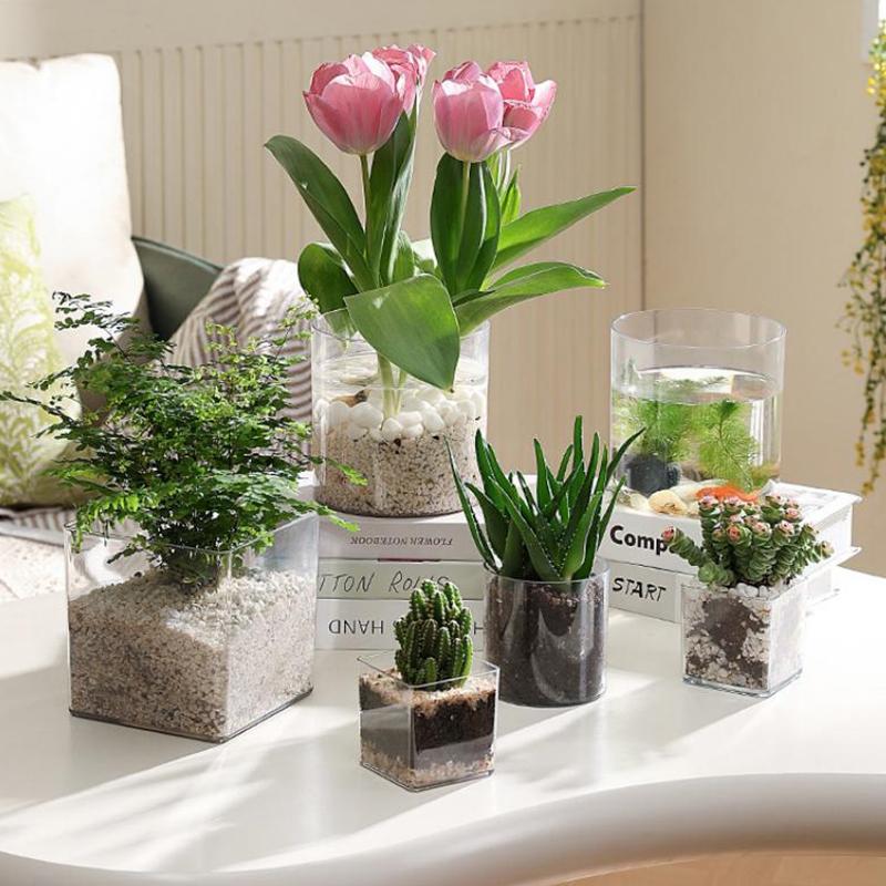 Square/Round Transparent Acryl - Bonsai Garden Nursery recension och pris