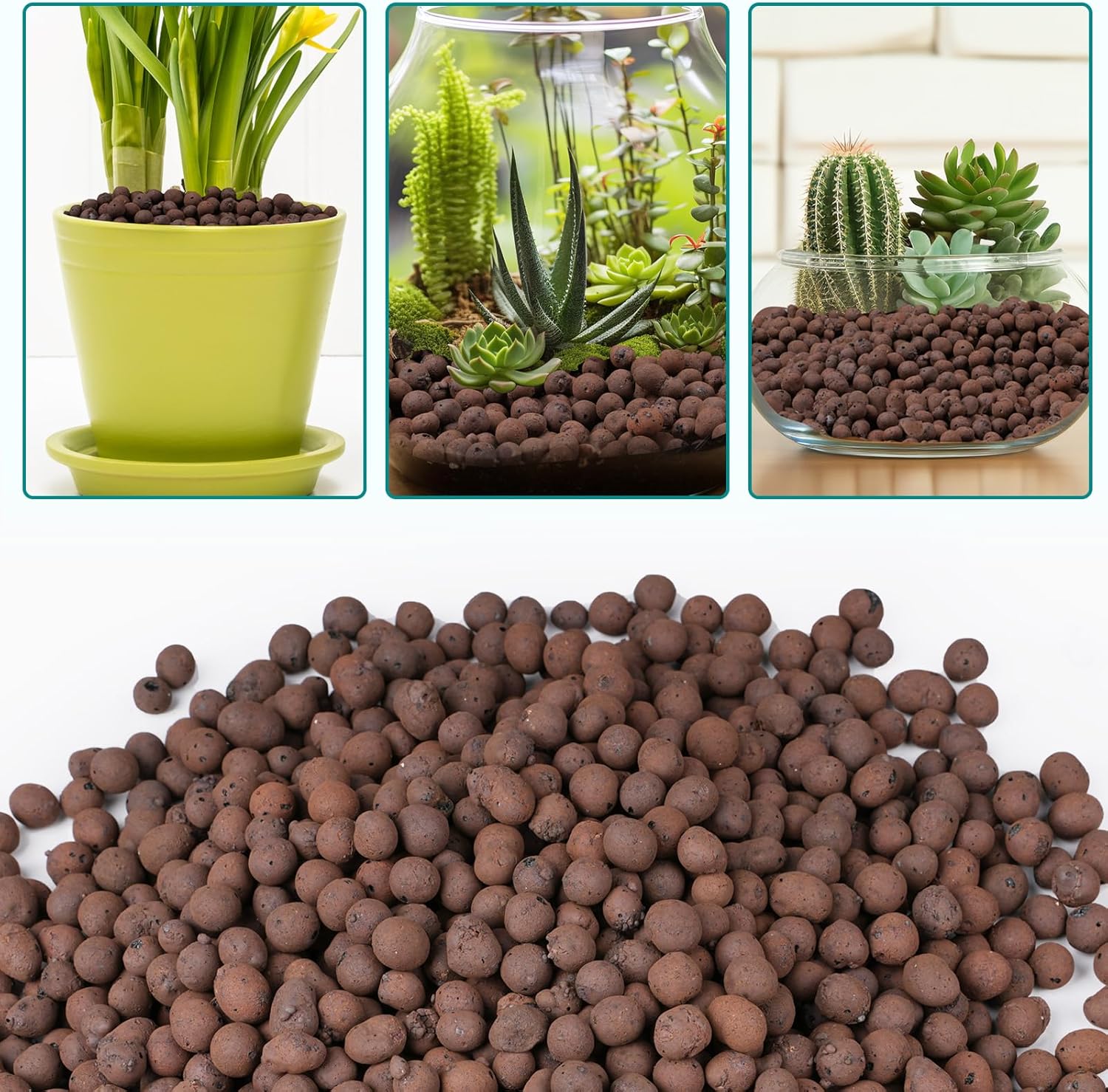 100/200G Clay Pebbles for Plan - Sphagnum Moss Bag recension och pris