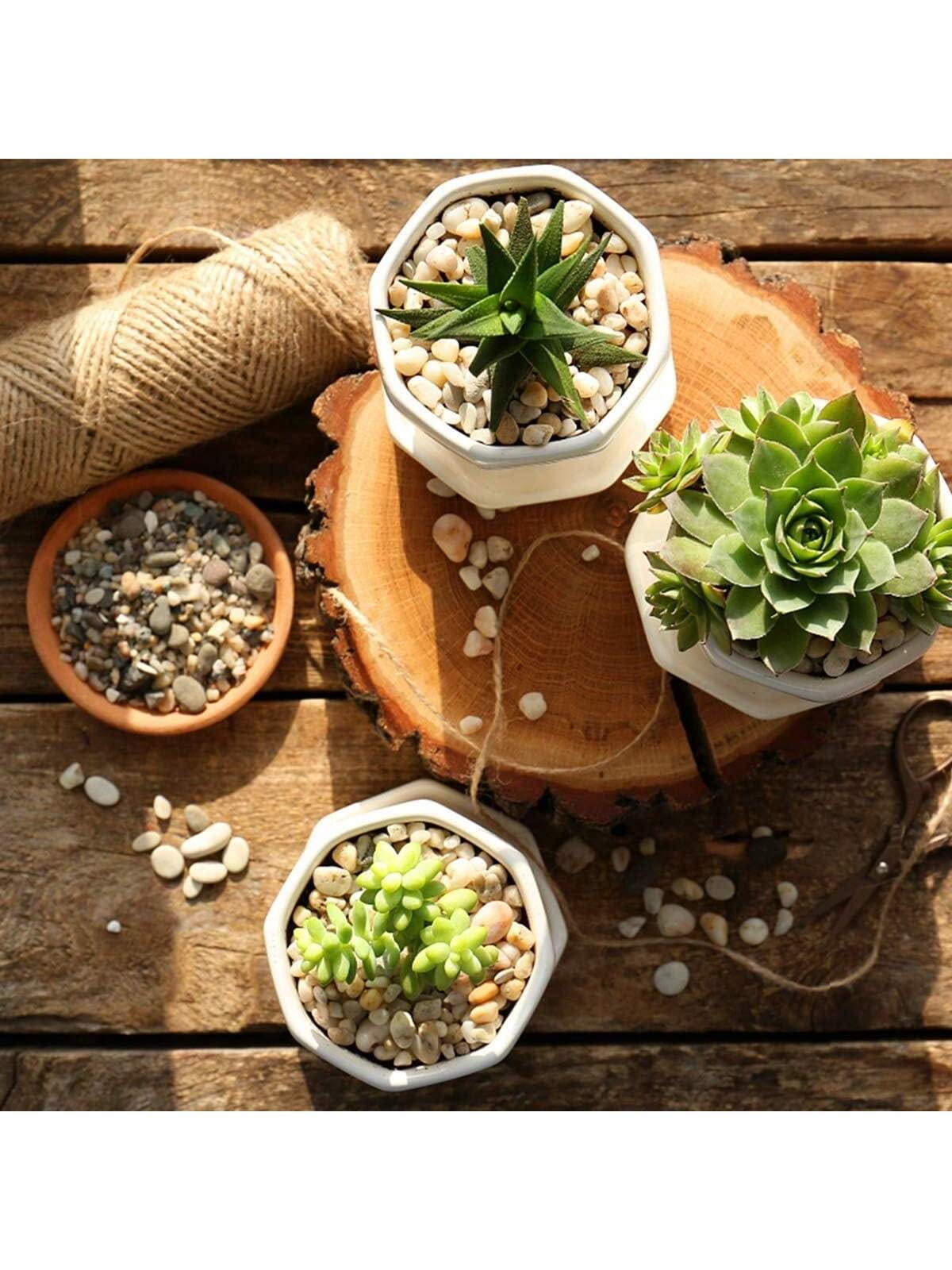 River Rocks Stones Natural Dec - Sphagnum Moss Bag recension och pris