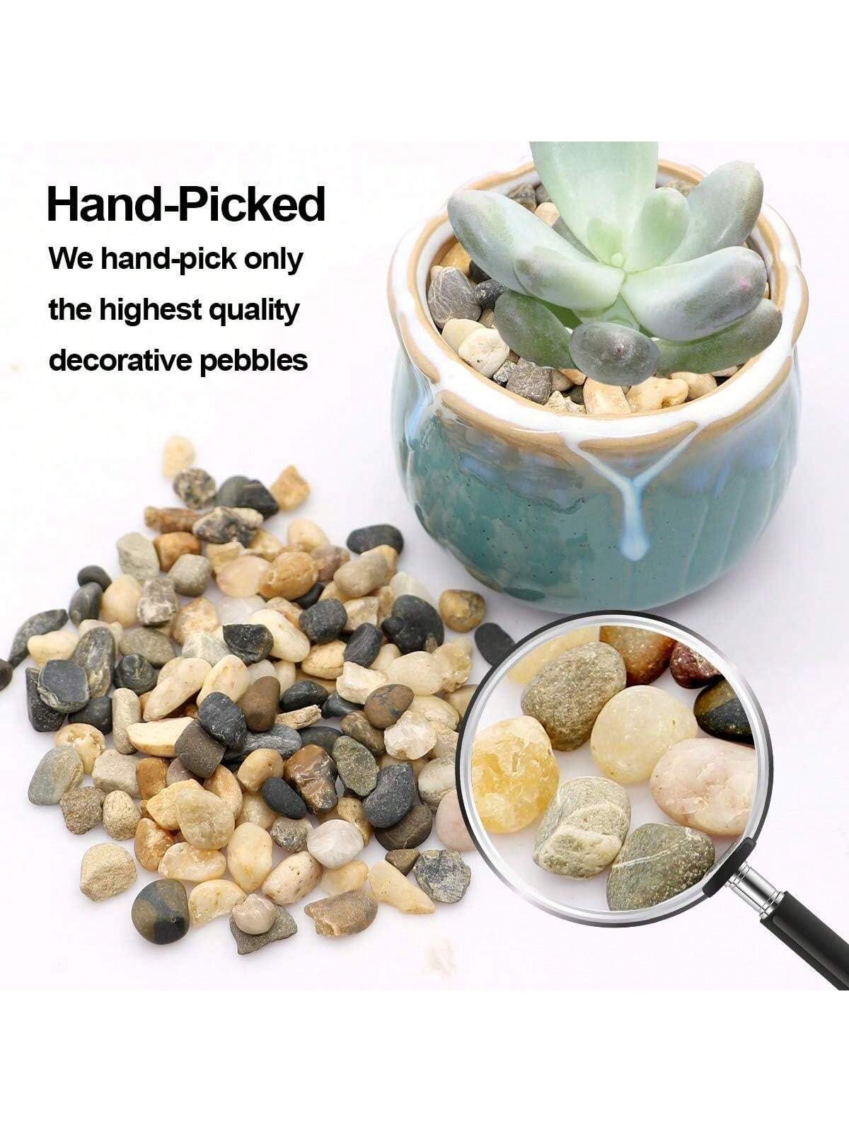 River Rocks Stones Natural Dec - Sphagnum Moss Bag recension och pris