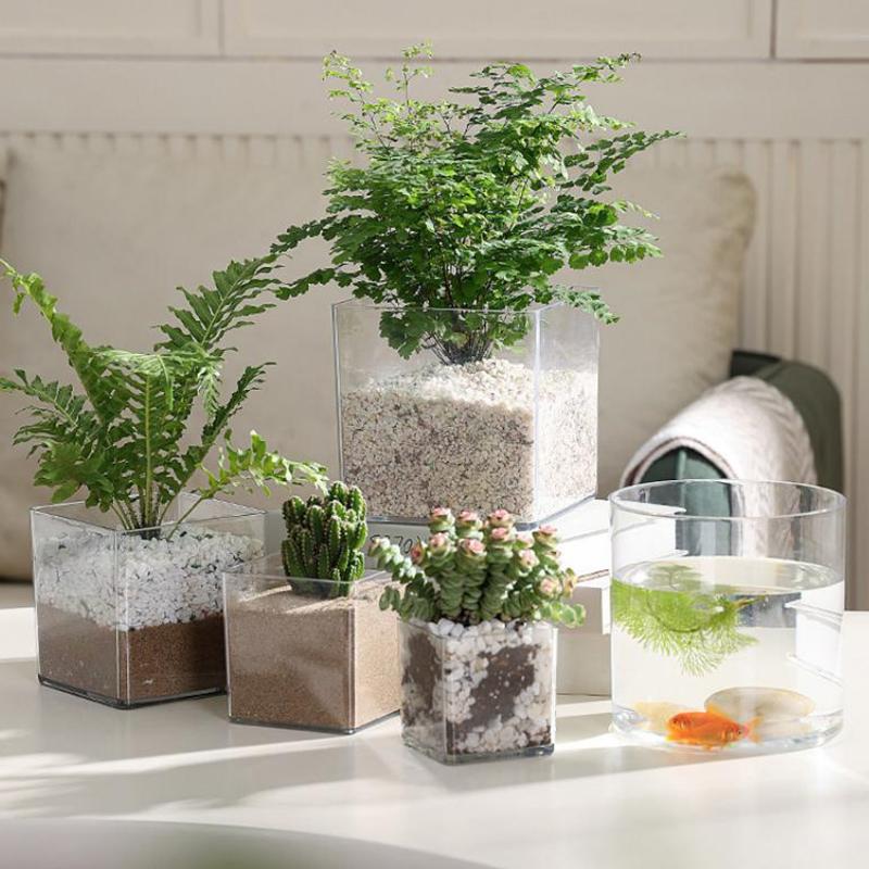 Square Round Transparent Acryl - Bonsai Garden Nursery recension och pris