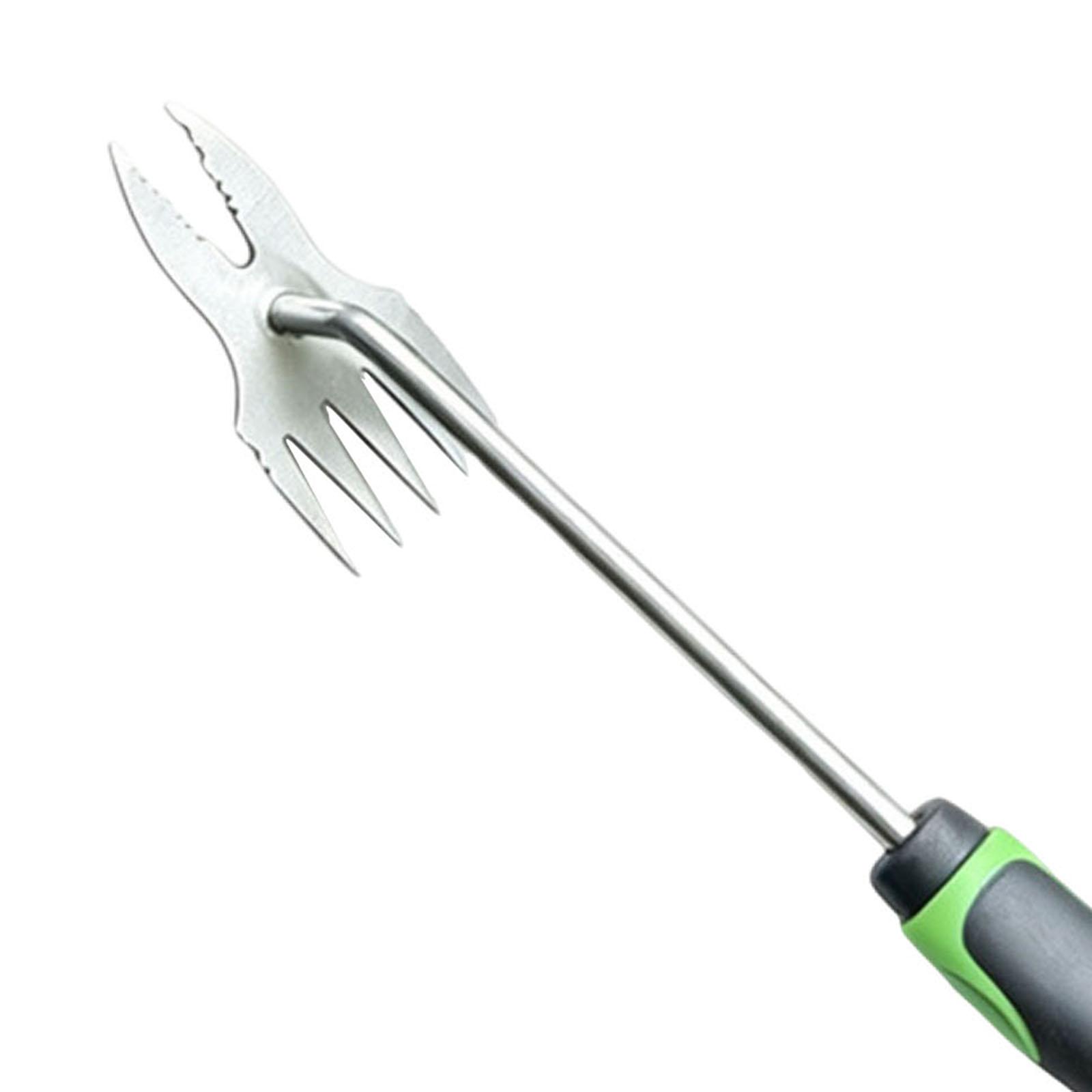 Hand Weeder Vegetable Planting - Bonsai Garden Backyard recension och pris
