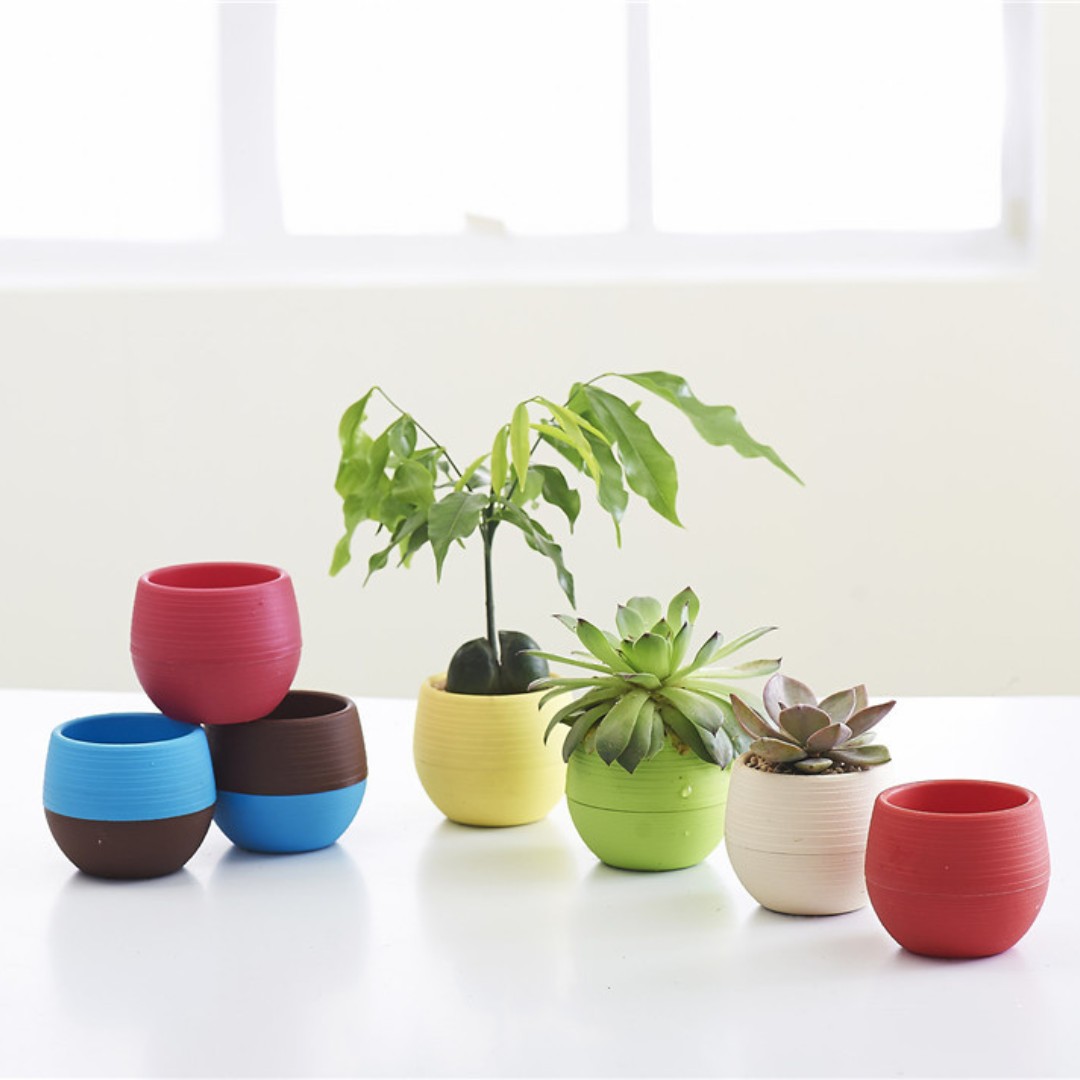 Gardening Mini Plastic Flower  - Bonsai Garden Nursery recension och pris