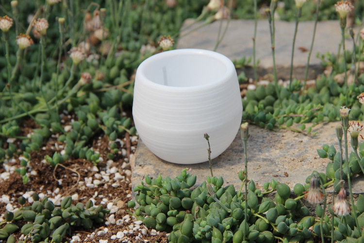 Gardening Mini Plastic Flower  - Bonsai Garden Nursery recension och pris