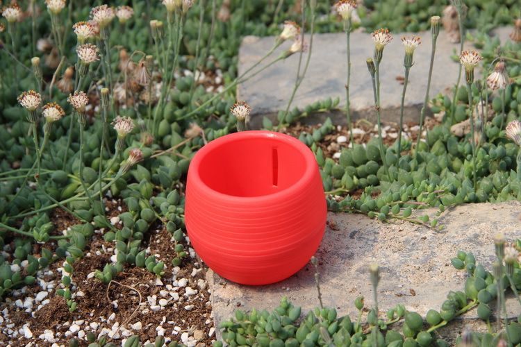 Gardening Mini Plastic Flower  - Bonsai Garden Nursery recension och pris